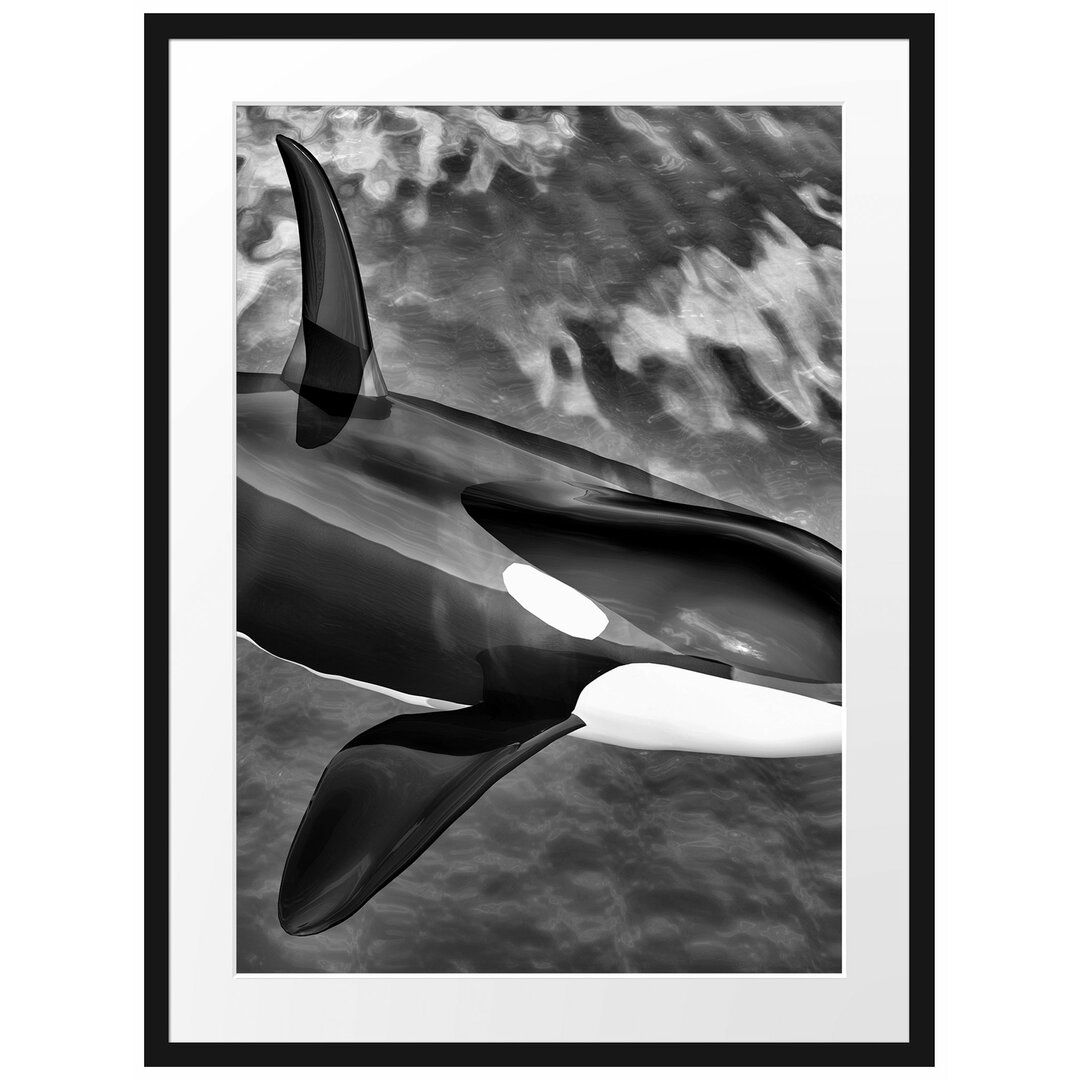 Gerahmtes Poster Orca im blauen Meer