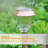 Solar Lights Outdoor-1519514831