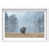 White Shadowbox