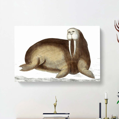Arctic Walrus by George Shaw - Wrapped Canvas