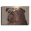 «Bulldog» par Thomas Fluharty-952851620