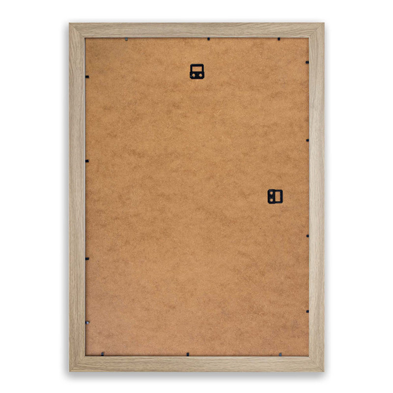 Black Parrot by F. Levaillant - Picture Frame Art Print, Oak Framed, 36cm H x 27cm W x 2cm D