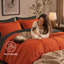 Ensemble de literie automne/hiver 7 pièces pour lit queen, en microfibre douce, comprenant 1 couette, 1 drap plat, 1 drap-housse, 2 taies d'oreiller et 2 housses de coussin.