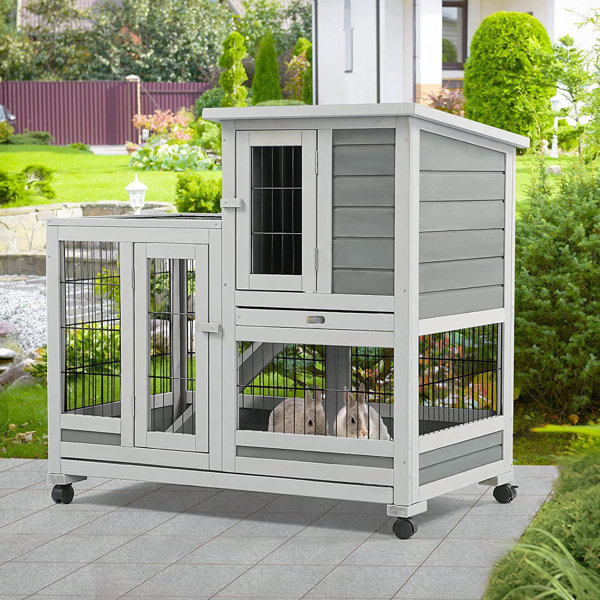 Tucker Murphy Pet™ Zakhar Rabbit Hutch & Reviews 