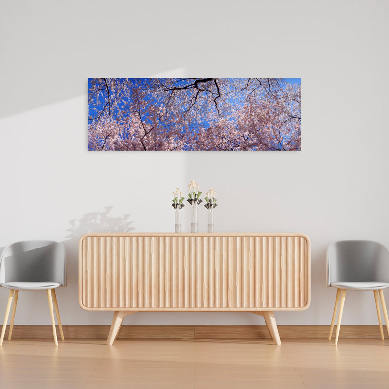 Faible angle de vue de cerisiers en fleurs, État de Washington, États-Unis, art contemporain de fleur de cerisier abstrait