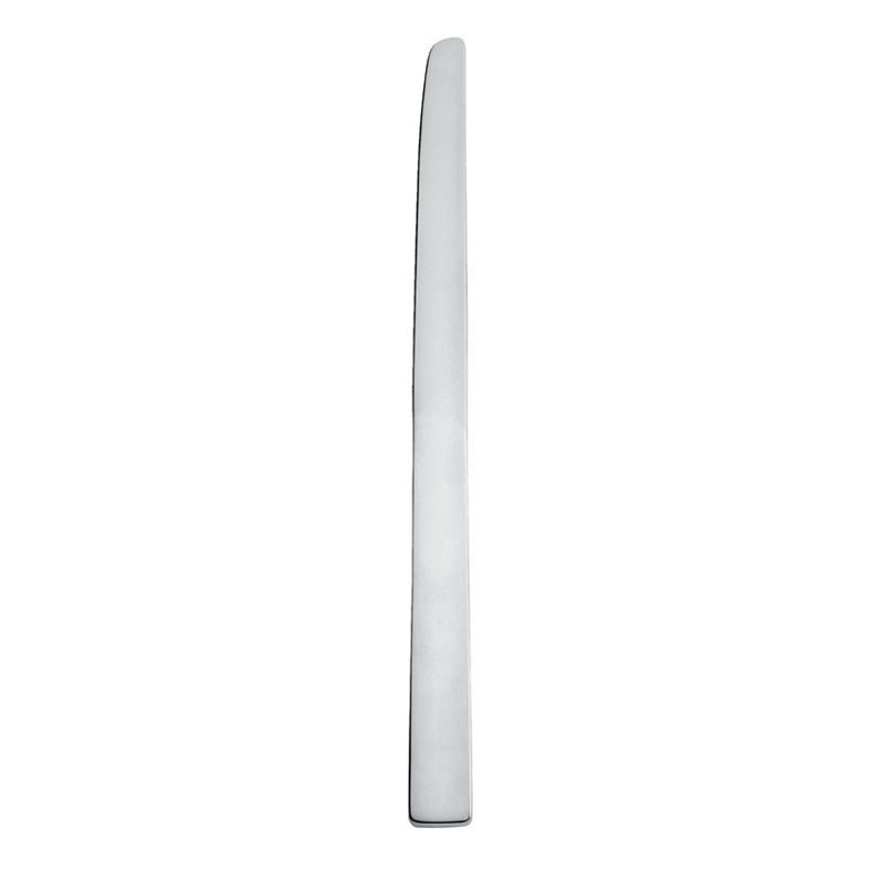 Santiago Stainless Steel Dinner Knife