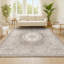 Tapis beige / ivoire Rosalia Cottage Medallion-612200916