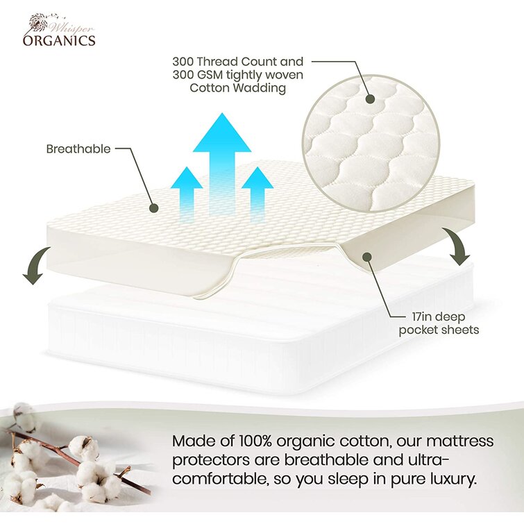 Organic Quilted Fitted Mattress Cover Twin XL / White