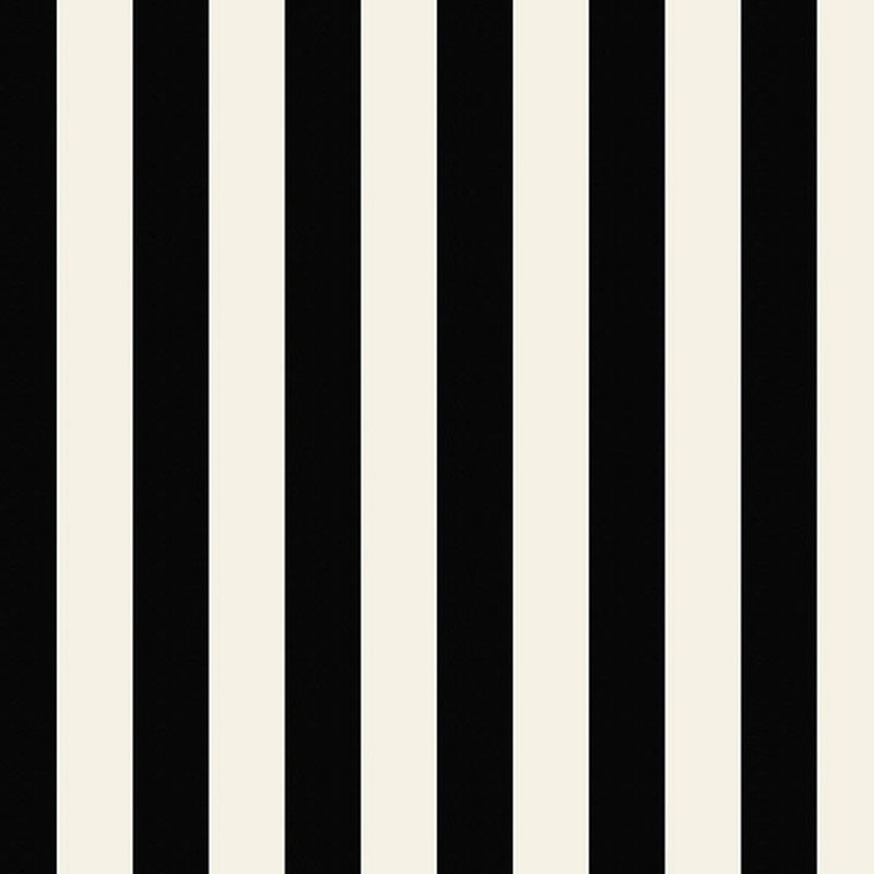 Rouleau de papier peint L 33 pi x l 21 po, Noir / beige