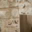 Serein Oriental Area Rug-1539043224