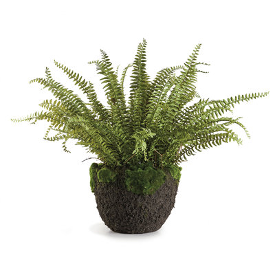Analea Faux Foliage Plant in Vase