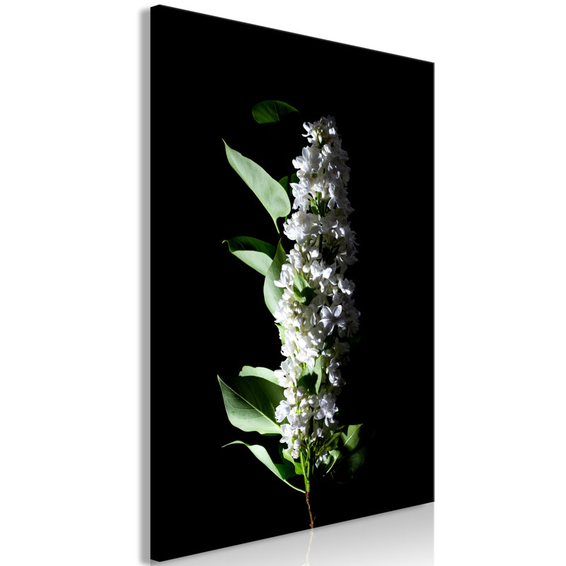 No Frame Print on Canvas, 40cm H x 60cm W