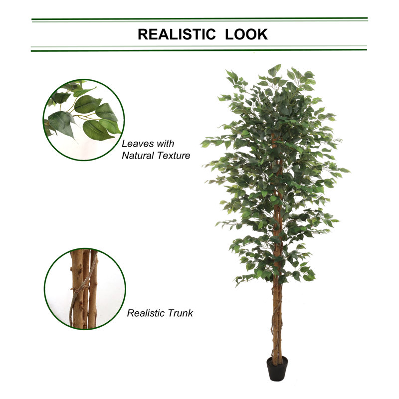 7 Feet Tall Artificial Green Ficus Tree in Pot, 84'' H x 5'' W x 6'' D