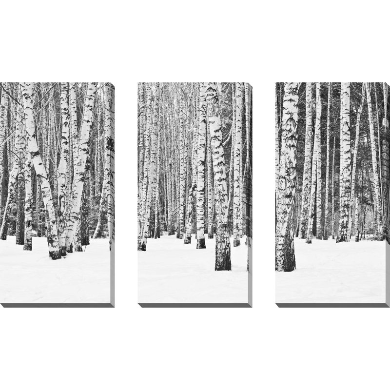 «Birch Trees In Winter», ensemble de 3 impressions sur toile