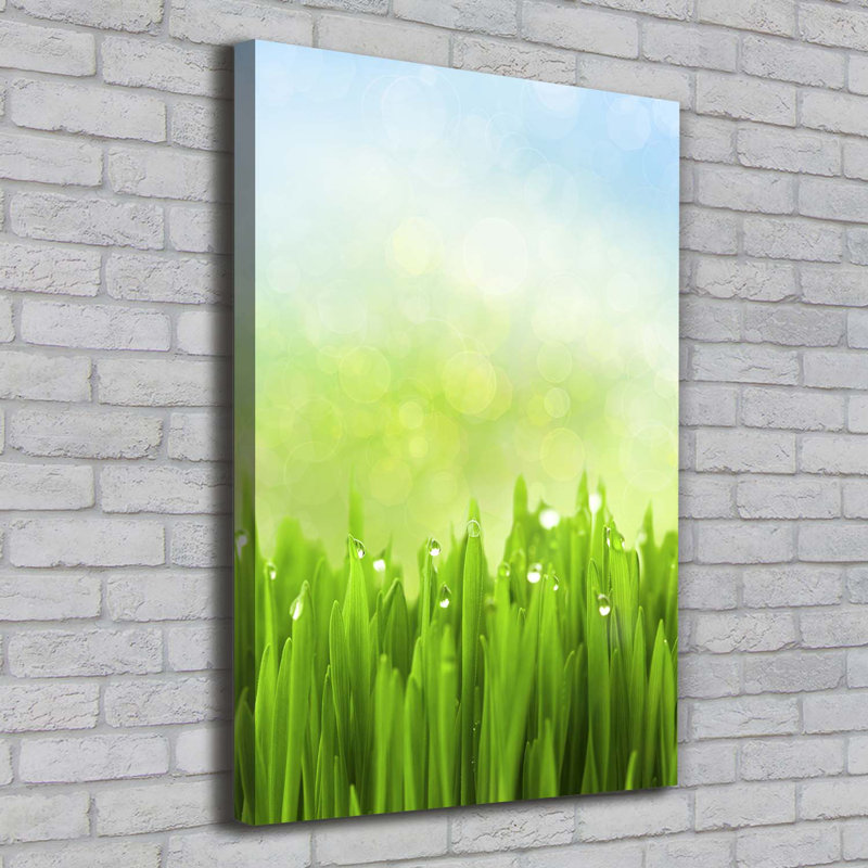 Grass - Wrapped Canvas Print