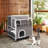 Drogin Cat House