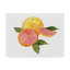 « citrus jardin x », reproduction d’impression sur toile tendue-33413712