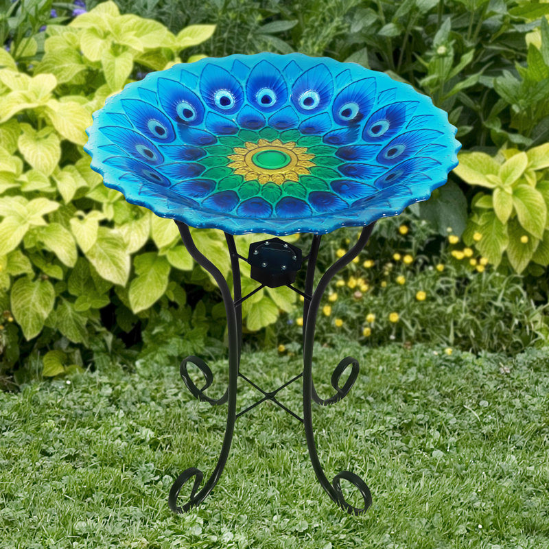 Bain d'oiseaux solaire Terren