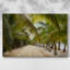 Passerelle tropicale - galerie Cavas-1562283364
