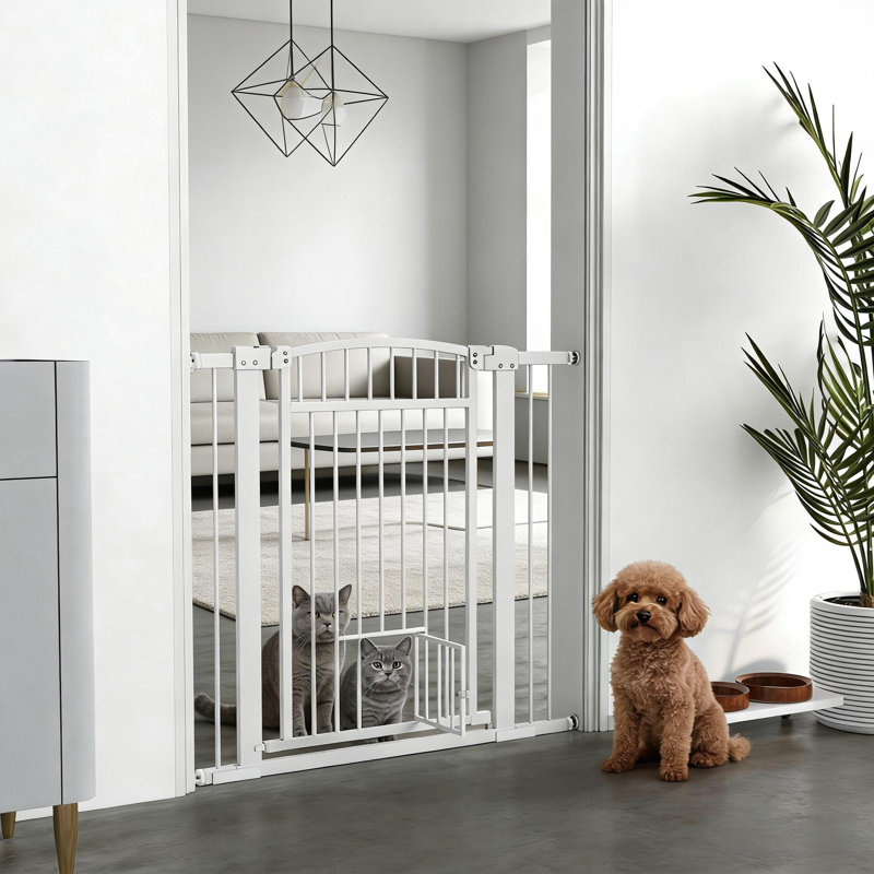Barrière pour animaux de compagnie en acier blanc, passage pour chat, 40,9 po de large x 30,3 po de hauteur, pour grands chiens