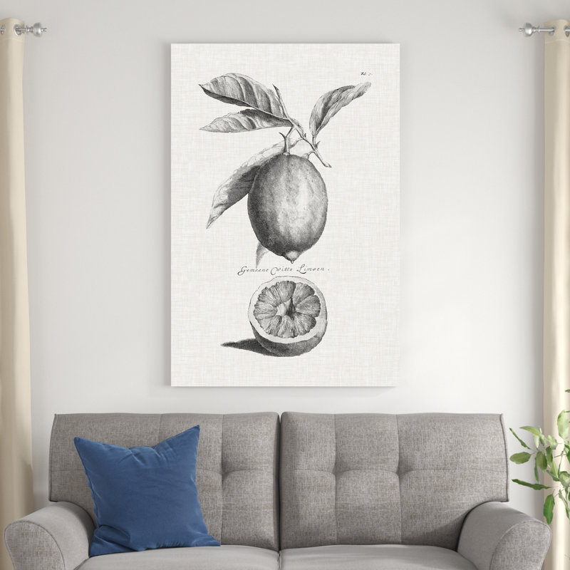 Citrons et oranges antiques I, H 36 po x l 24 po