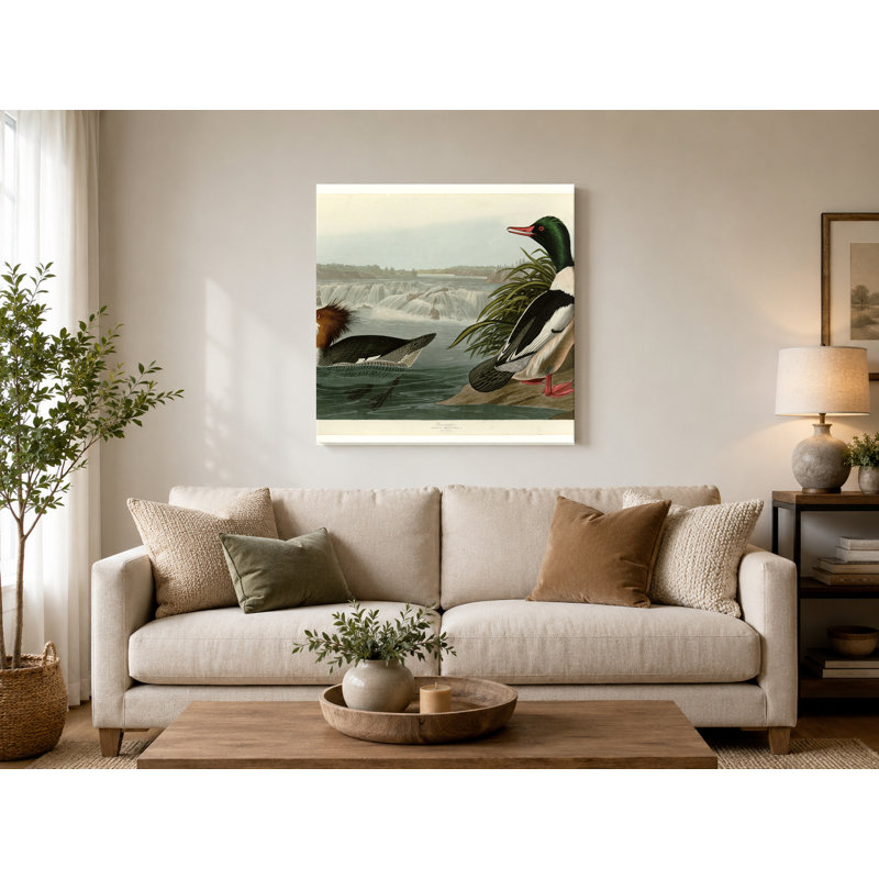 Goosander, plaque CCCCXXI (1836) - art mural carré sur toile, 16" W x 16" H