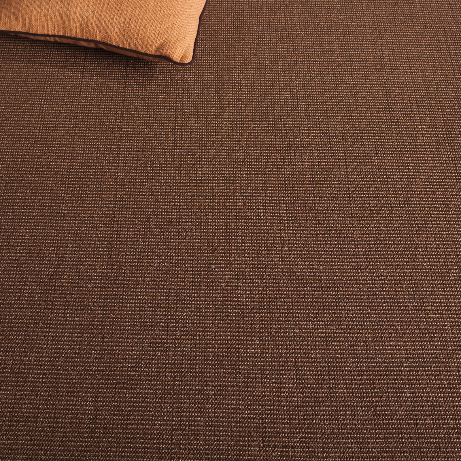 Auckland Jute Brown Area Rug, Rectangle 3' x 5'