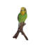 Statue de perruche sur une branche
