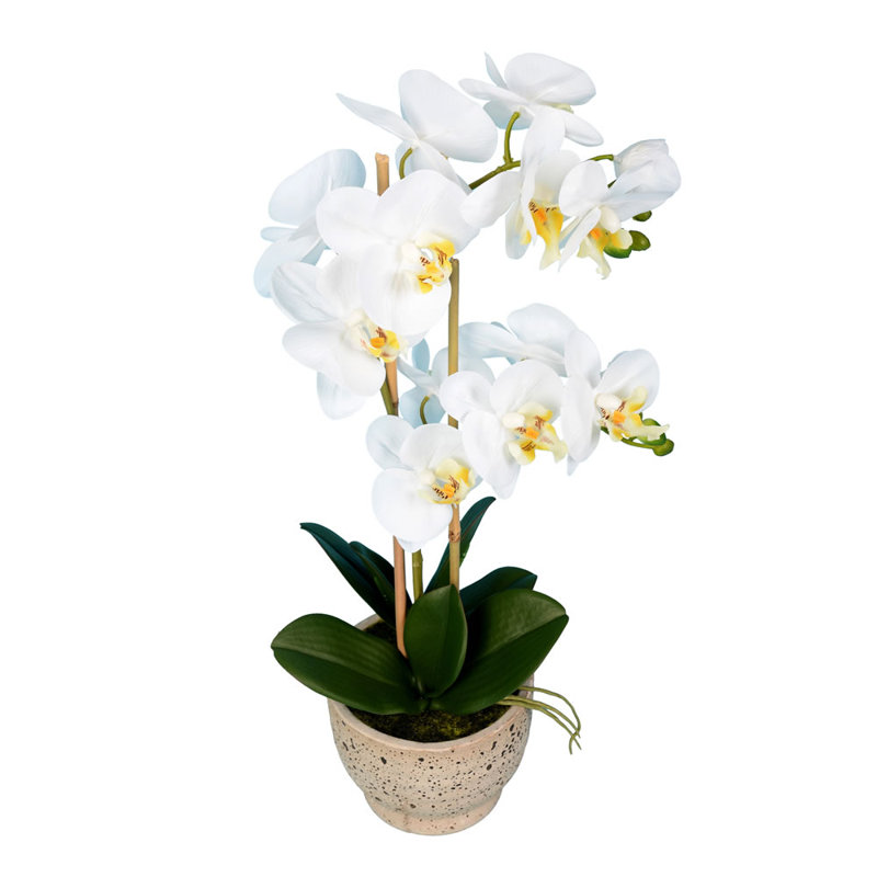 Arrangement floral artificiel phalaenopsis en pot