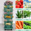 Ensemble de jardinières verticales Strawberry-131280699
