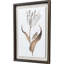 Gilded Tulip - Elegance Print by Marrel Paragon