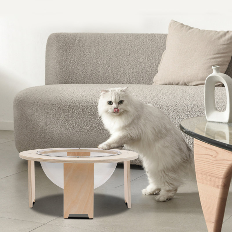 Dredyn Clear Acrylic Capsule Cat Bed with Wooden Base