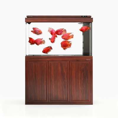 Élégant réservoir d'aquarium écologique à grande échelle