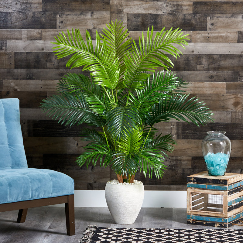 62'' Faux Palm Tree in Fiber Clay Planter
