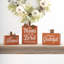 Décoration de table citrouille en bois 3PK Fall