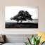 «Solenn Tree» par PhotoINC Studio, reproduction d'art sur toile tendue-72066568-72066569-72066573