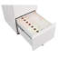 [requires assembly] Office Storage Cabinet, 2 Drawers File Cabinet With Lock Metal Vertical File Cabient With Wheels Mobile File Cabinet For Office Home Legal/Letter/a4 Size