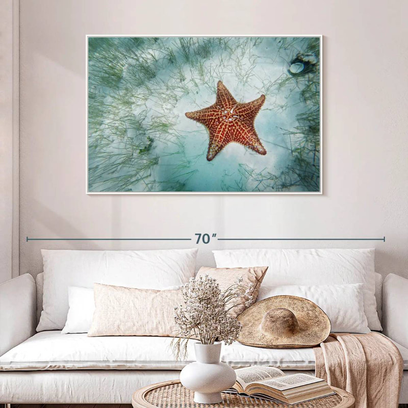 Étoile de mer peu profonde, 46 po x 31 po, Cadre flottant blanc