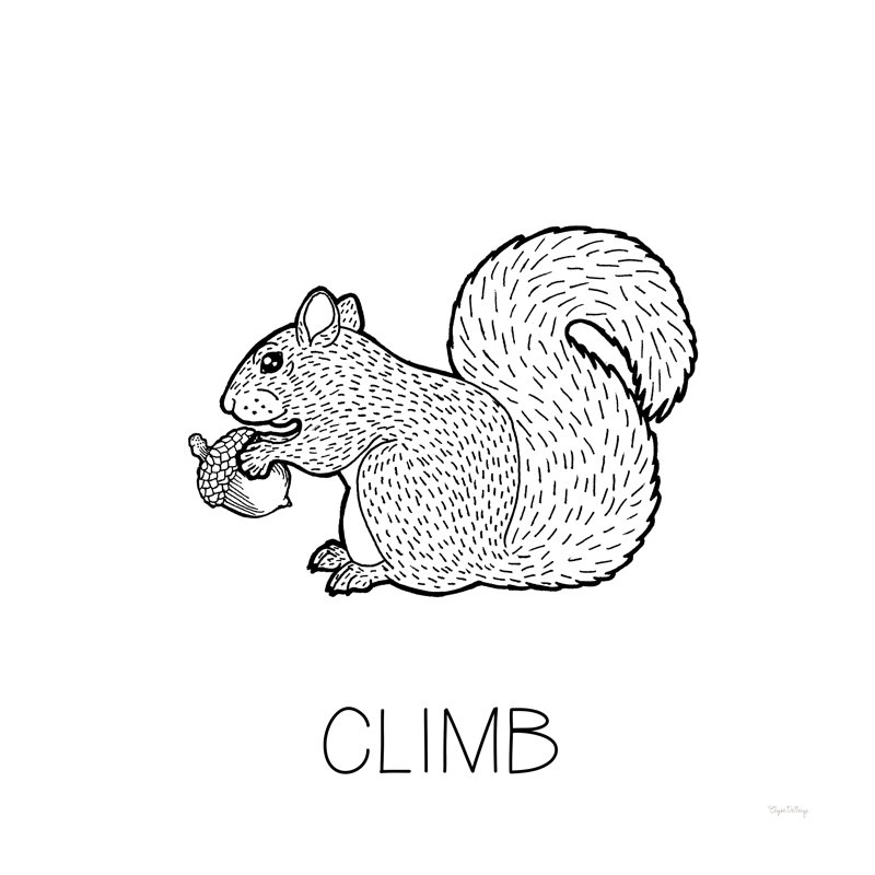 Color The Forest VIII Climb by Elyse DeNeige - Wrapped Canvas Print, 76cm H x 76cm W x 3.8cm D