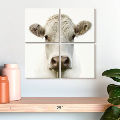 Brampt Charolais Cow