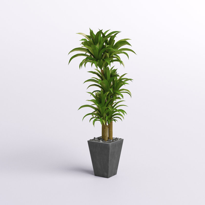 Plante artificielle 50,25 po Dracaena en pot