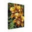 Art sur toile, bolognaise, tigre jaune-104292753