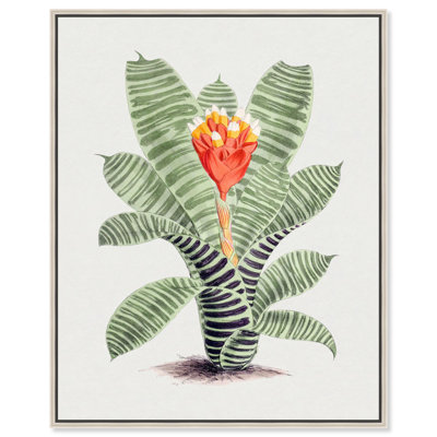 Toile Tillandsia Musaica par Art Remedy