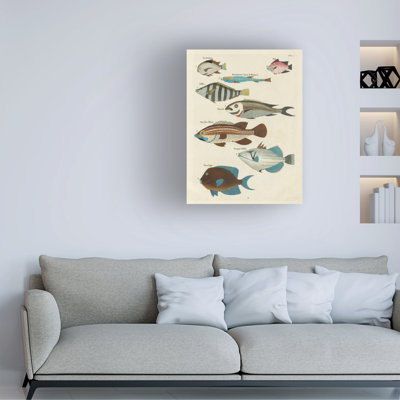Bolog " Renard Tropical Fish V " Print on Canvas