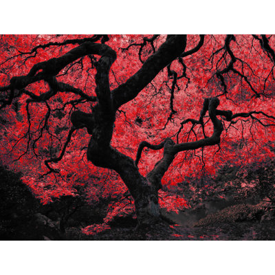 Décalcomanie murale amovible arbre d’érable japonaise