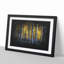 Sunlight Forest Vol.4 Paint Splash - Picture Frame Graphic Art-62806297-62806292