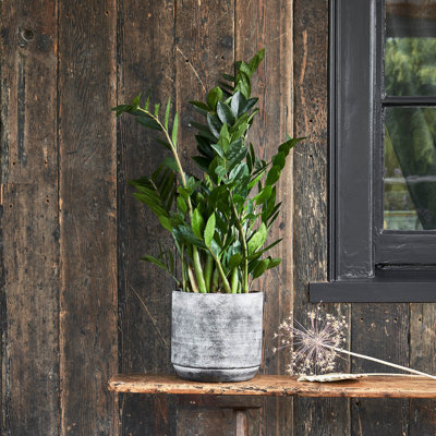 Pot Planter