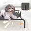 Cooling dog bed-749475132-749475133