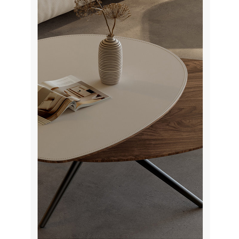Modern Minimalist Style Coffee Table