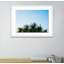 Palm Trees Print by Oliver Cole-48620000-48620001